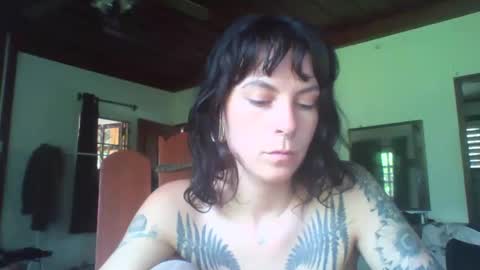 Snapshot of pixiecatfairy chatting on November 11, 2025, 6:24 am pixiecatfairy online show from November 11, 2025, 6:24 am