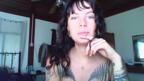 Snapshot of pixiecatfairy chatting on November 16, 2025, 2:17 am pixiecatfairy online show from November 16, 2025, 2:17 am