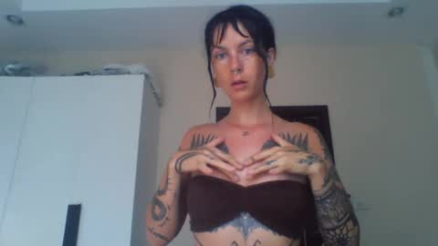 Snapshot of pixiecatfairy chatting on February 23, 2026, 2:53 am pixiecatfairy online show from February 23, 2026, 2:53 am