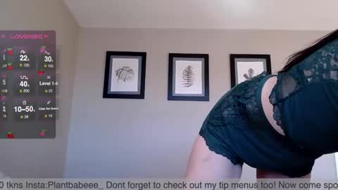 Plantbabeee online show from December 2, 2024, 7:16 pm