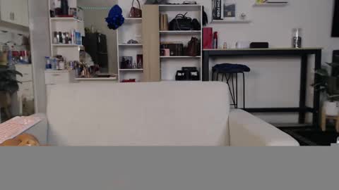 plasticgirll online show from January 11, 2025, 5:51 pm