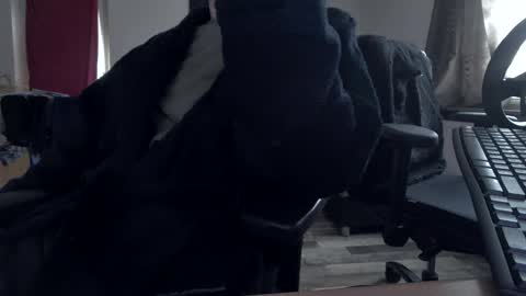 Hello ask me  . Im glad  to see you here in my room. Welcome PVT is open online show from November 30, 2025, 9:35 am