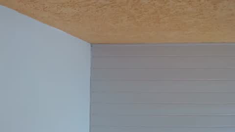 podolatra3 online show from February 19, 2026, 1:34 am