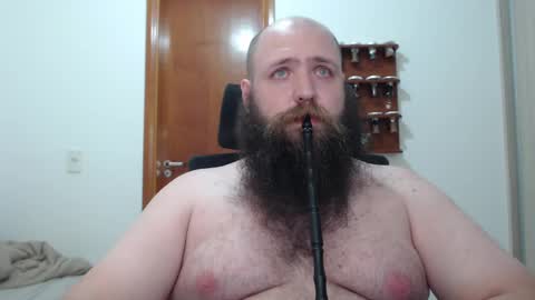 Bear online show from February 16, 2025, 8:21 am