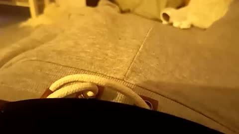 pollontf online show from March 2, 2026, 1:41 am