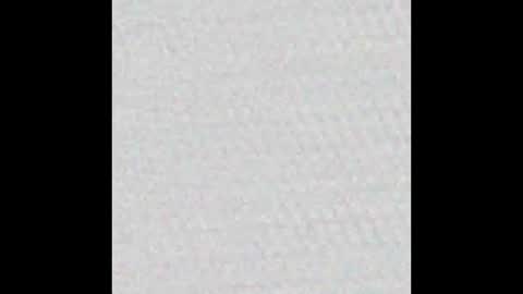 Polly online show from March 12, 2025, 12:26 pm