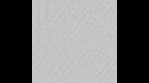 Polly online show from February 4, 2026, 6:41 am