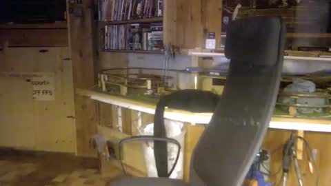 pomme1949 online show from December 16, 2025, 10:42 am