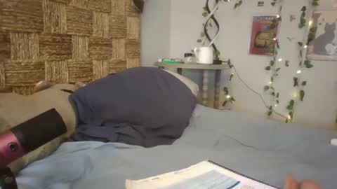 Snapshot of pooncahantits chatting on February 17, 2025, 3:31 pm Emily at Home online show from February 17, 2025, 3:31 pm