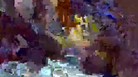precious_nesh online show from May 13, 2026, 11:07 am