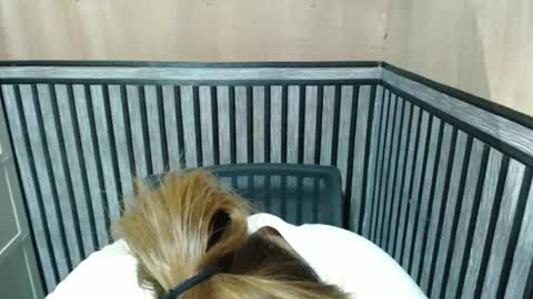 Kate online show from October 8, 2025, 7:00 pm