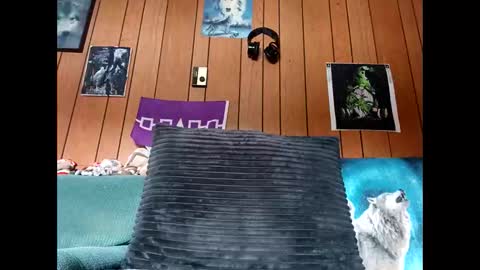 prettysolid7 online show from October 13, 2025, 1:11 pm