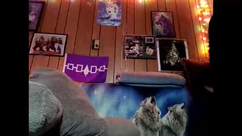 prettysolid7 online show from February 9, 2026, 10:52 am