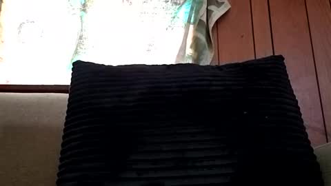 prettysolidd7 online show from February 15, 2025, 12:54 pm