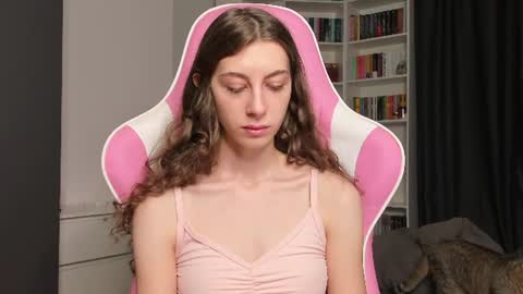 Snapshot of prettysomething chatting on July 13, 2026, 6:27 am Sophie next stream will be at Monday i will wait you guys online show from July 13, 2026, 6:27 am