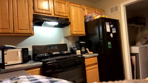 prettyworld24 online show from January 4, 2025, 7:03 am