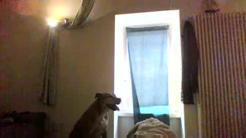 BBW facial slave online show from January 8, 2026, 12:40 pm