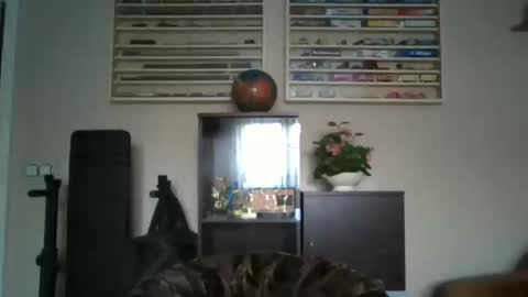 Don online show from February 25, 2026, 10:03 am