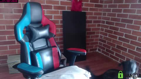 Leia online show from April 12, 2026, 8:36 pm