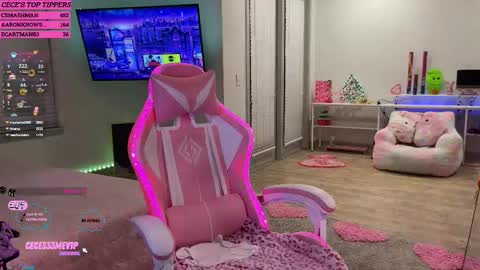 Cece  NEXT LIVESTREAM -- DEC. 4th  7 PM CST online show from February 12, 2025, 4:01 am