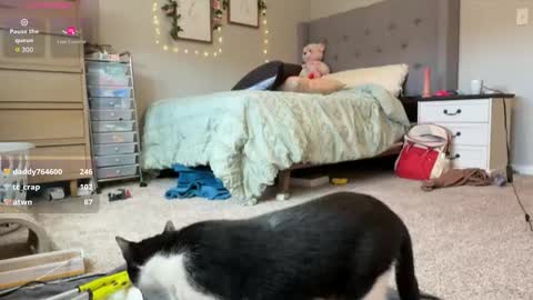 Sable online show from March 30, 2026, 4:19 pm