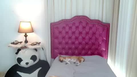 Snapshot of princessyanzy chatting on January 31, 2026, 11:47 pm princessyanzy1 online show from January 31, 2026, 11:47 pm