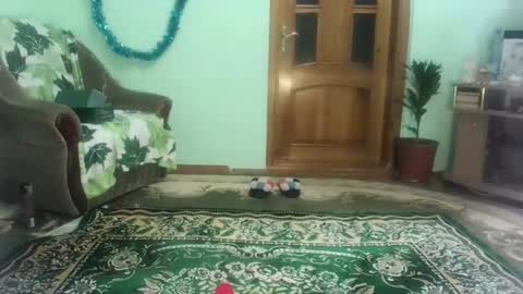 proud sweet 21 online show from January 3, 2025, 9:47 pm