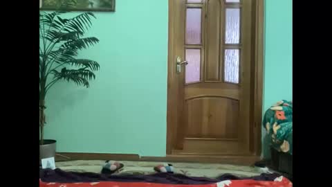 proud sweet 21 online show from April 16, 2026, 3:02 pm