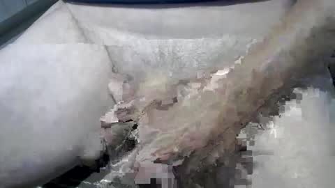 Snapshot of psfunman chatting on February 13, 2025, 6:05 pm psfunman online show from February 13, 2025, 6:05 pm