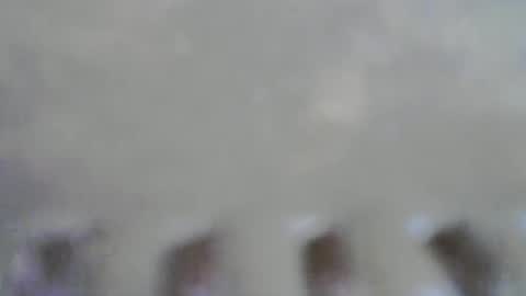 pumpkin3000 online show from November 30, 2025, 9:46 am