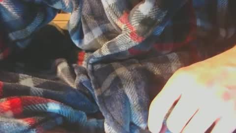 Snapshot of pupscrote chatting on February 10, 2025, 5:14 am Pup Scrote online show from February 10, 2025, 5:14 am