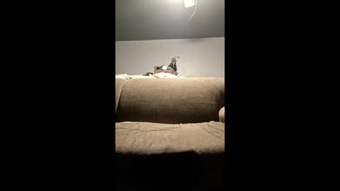 pussylicker517038 online show from April 29, 2026, 2:37 am