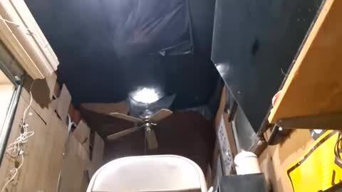 pussylicker517038 online show from May 31, 2026, 4:14 pm