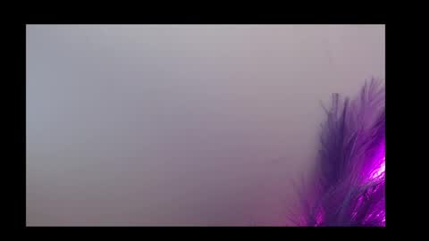 Snapshot of queen_rosee_ chatting on February 5, 2026, 12:59 am Queen Rosee online show from February 5, 2026, 12:59 am