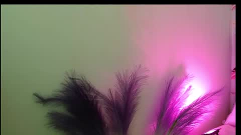 Snapshot of queen_rosee_ chatting on February 25, 2026, 8:07 pm Queen Rosee online show from February 25, 2026, 8:07 pm