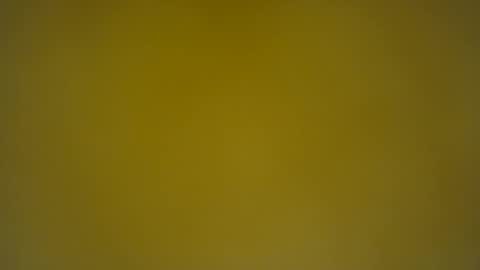 quinnxx online show from March 11, 2025, 6:43 am