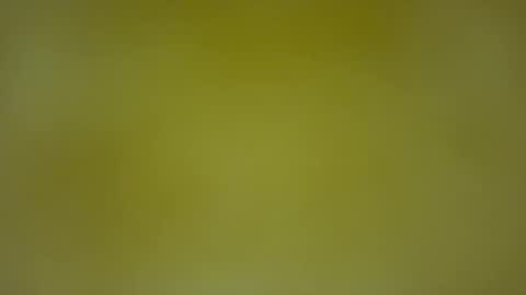 quinnxx online show from February 8, 2026, 5:33 am