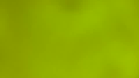 quinnxx online show from March 9, 2026, 6:28 am