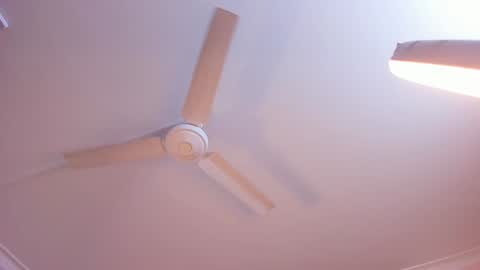 Snapshot of rachel_mendoza chatting on January 3, 2025, 11:14 am Rachel online show from January 3, 2025, 11:14 am