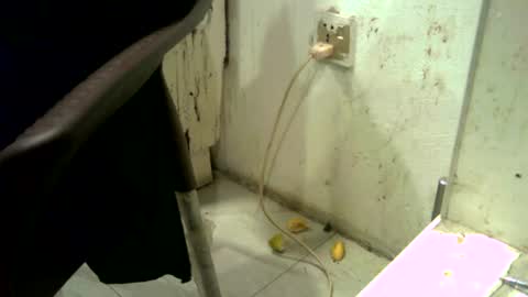 rakulgee111 online show from July 7, 2026, 6:47 am
