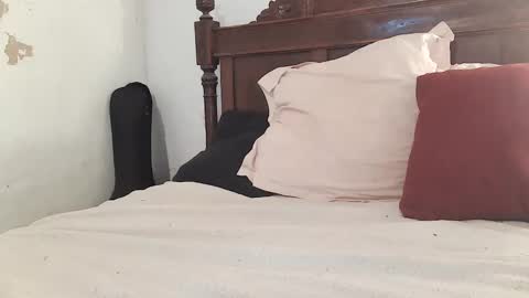 Ran online show from February 7, 2025, 12:17 pm