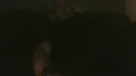 Snapshot of rapzerr chatting on September 16, 2025, 3:29 am rapzerr online show from September 16, 2025, 3:29 am