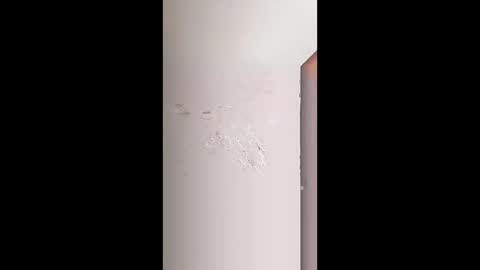 rara_molly online show from February 9, 2026, 7:23 am