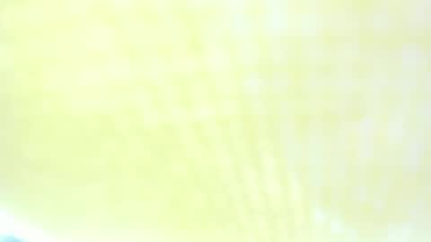 Ravenfox  online show from March 29, 2026, 1:44 pm