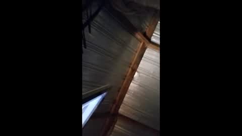 ravenwings5235 online show from December 14, 2025, 10:09 am