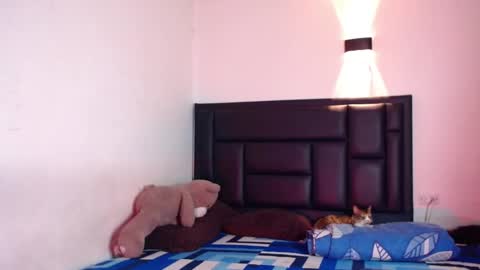 Snapshot of raydevil_ chatting on October 17, 2025, 7:33 am Rayn online show from October 17, 2025, 7:33 am