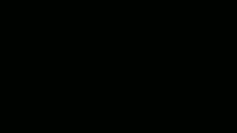 Ray online show from December 29, 2024, 3:57 pm