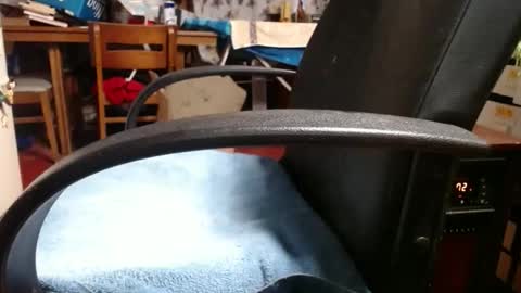 Ray online show from November 4, 2025, 12:04 pm