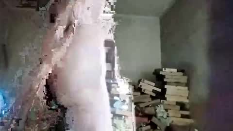 rdcervetto81 online show from February 11, 2026, 8:08 am