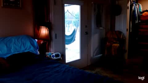 ready4aride2day online show from February 9, 2025, 3:56 pm